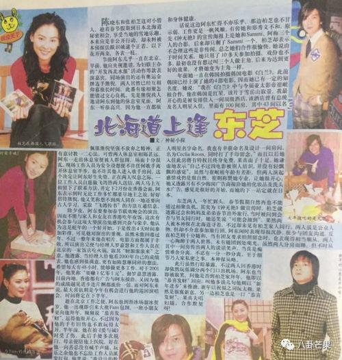 专业吃瓜娱乐圈小说,瓜田里的甜蜜陷阱  第3张