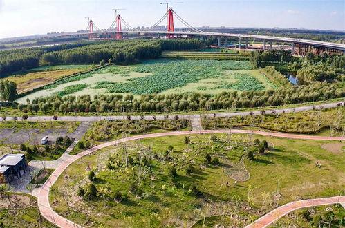 黄河公园爆料视频播放,揭秘公园美景与神秘事件  第2张